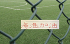 海港靠年轻人拿下足协杯首胜！今年主教练也是重用杨希