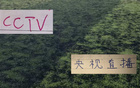 官方转播计划表！海港跟山东泰山一周有2次CCTV直播 不愧是中超夺冠最多队伍